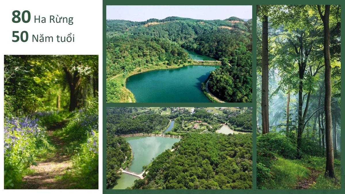 canh-quan-tu-nhien-thung-lung-thanh-xuan canh-quan-tu-nhien-thung-lung-thanh-xuan