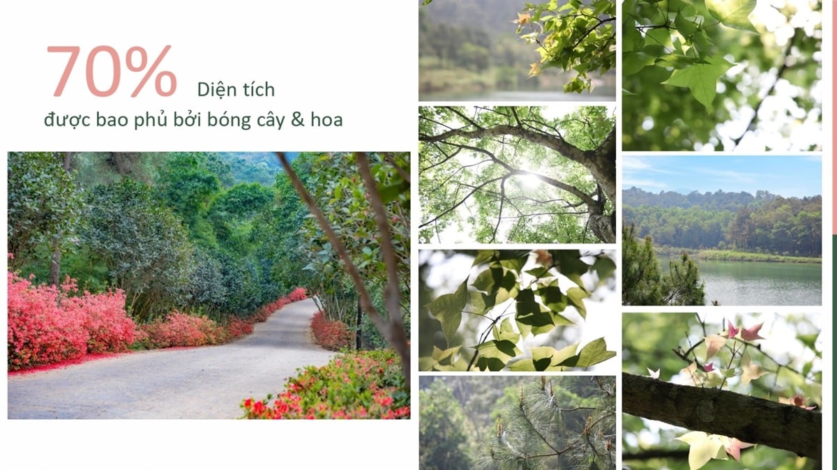 hinh-anh-thuc-te-thanh-xuan-valley hinh-anh-thuc-te-thanh-xuan-valley